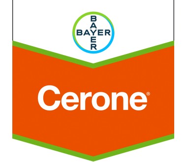 Cerone