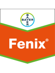 Fenix