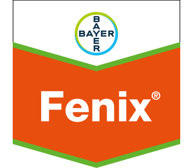 Fenix