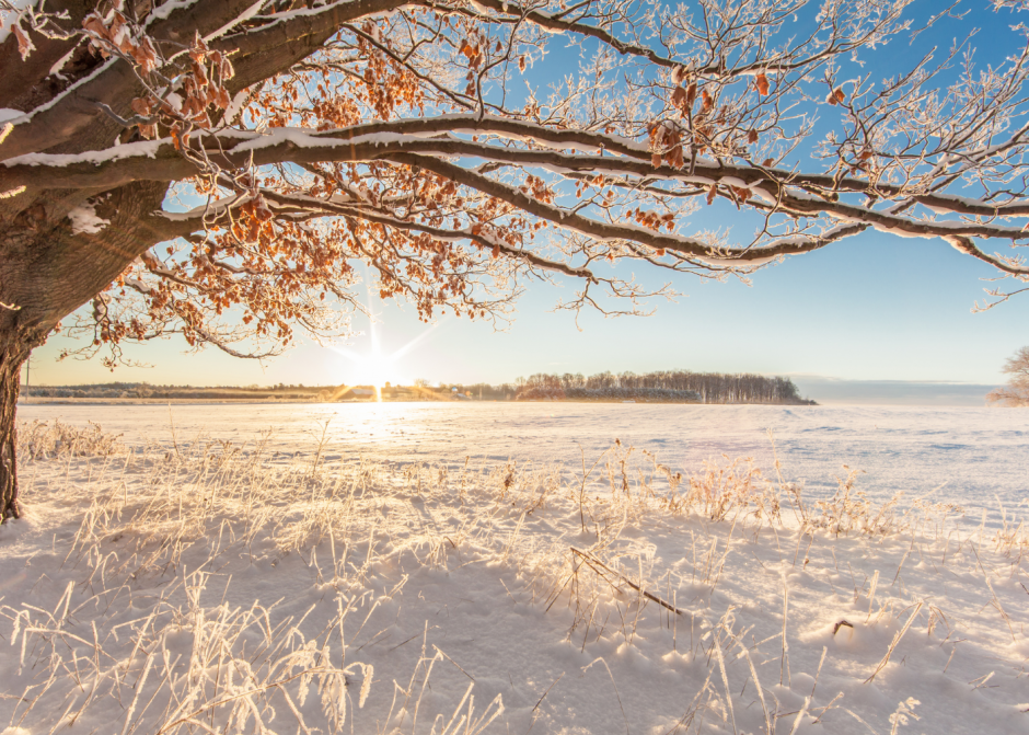 Graudu tirgus apskats (13.02.2023 – 17.02.2023)