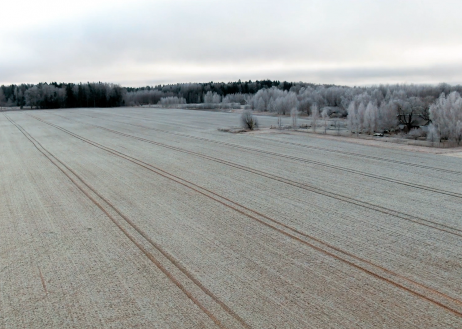 Graudu tirgus apskats (14.02.2022 – 18.02.2022)