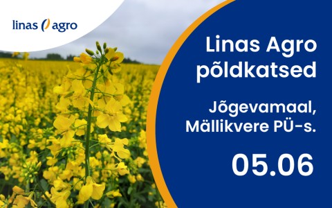 Linas Agro põldkatsed Jõgevamaal 05.06.2024