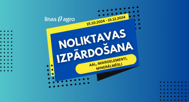 Noliktavas izpārdošana