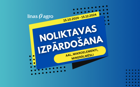 Noliktavas izpārdošana