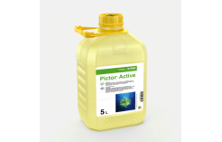 PICTOR ACTIVE