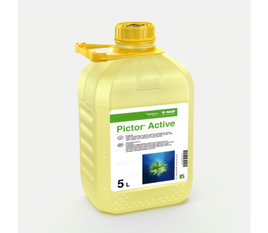 PICTOR ACTIVE