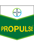 PROPULSE