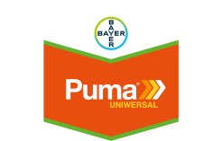 Puma Universal