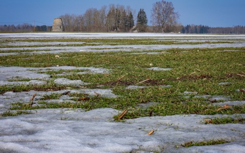 Viljainfo 10.nädal