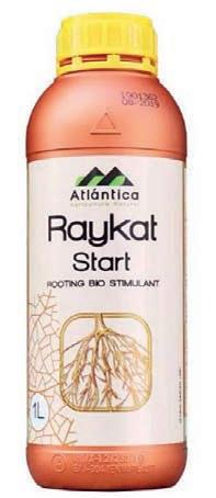 Raykat Start