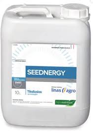 SEEDNERGY